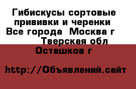 Гибискусы сортовые, прививки и черенки - Все города, Москва г.  »    . Тверская обл.,Осташков г.